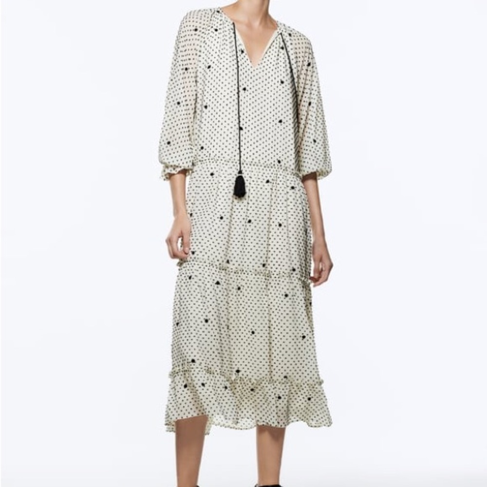 Zara Dotted Mesh Oversized Maxi Dress Size Large L NWT Polka Dots Swiss Dots